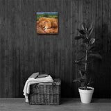 SLEEPING LION Painting Canvas Print 12x12 to 24x36