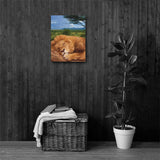 SLEEPING LION Painting Canvas Print 12x12 to 24x36