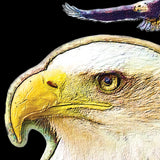 FLYING EAGLE Unisex Long Sleeve T-Shirt - Size S-XL - 4 Colors