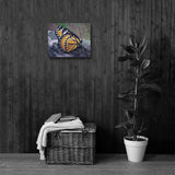 BUTTERFLY - Photo Canvas Print 12x12 to 36x24