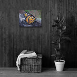 BUTTERFLY - Photo Canvas Print 12x12 to 36x24