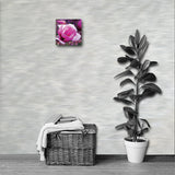 BLOOM MAGENTA Photo Canvas Print 12x12 to 24x36