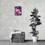 BLOOM MAGENTA Photo Canvas Print 12x12 to 24x36