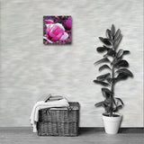 BLOOM MAGENTA Photo Canvas Print 12x12 to 24x36