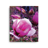 BLOOM MAGENTA Photo Canvas Print 12x12 to 24x36