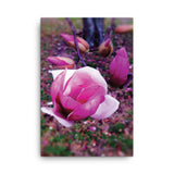 BLOOM MAGENTA Photo Canvas Print 12x12 to 24x36