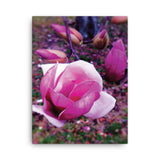 BLOOM MAGENTA Photo Canvas Print 12x12 to 24x36