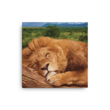 SLEEPING LION Painting Canvas Print 12x12 to 24x36