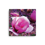 BLOOM MAGENTA Photo Canvas Print 12x12 to 24x36
