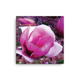 BLOOM MAGENTA Photo Canvas Print 12x12 to 24x36