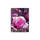 BLOOM MAGENTA Photo Canvas Print 12x12 to 24x36