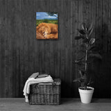 SLEEPING LION Painting Canvas Print 12x12 to 24x36