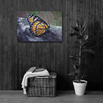 BUTTERFLY - Photo Canvas Print 12x12 to 36x24